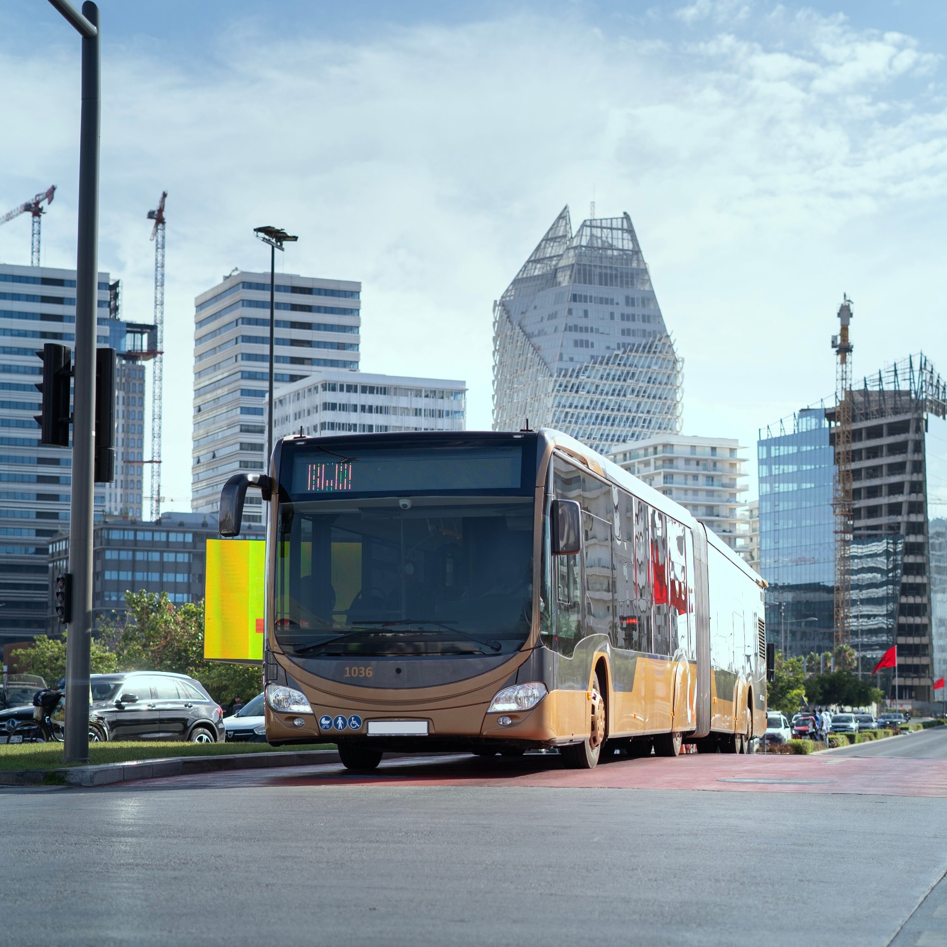 Buses & Passenger Transport Division